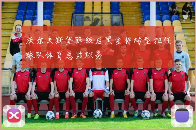 沃尔夫斯堡降级后黑金将转型担任球队体育总监职务