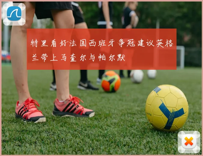 特里看好法国西班牙争冠建议英格兰带上马奎尔与帕尔默